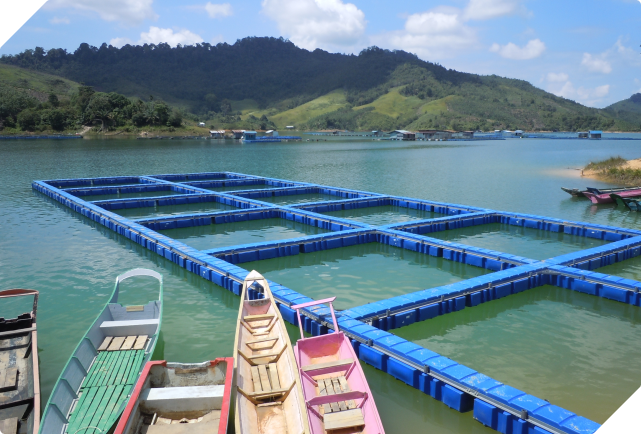 Aquaculture Infrastructure